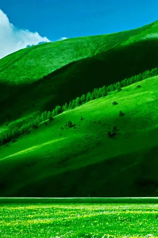 植被丰富茂盛的龙灯草原