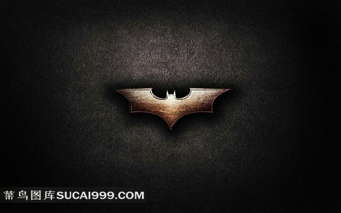 金属蝙蝠侠标志