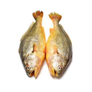 鱼类(103) 海鲜超市商品红酒白底图免抠实物摄影png格式图片透明底