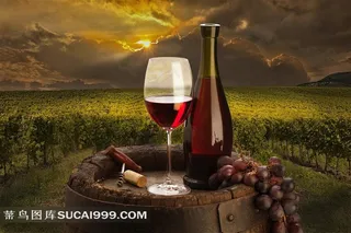 葡萄园与葡萄酒图片