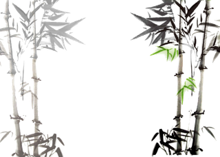 竹子水墨画中国风国画墨水书法竹子画