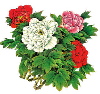 水彩素描牡丹花免扣