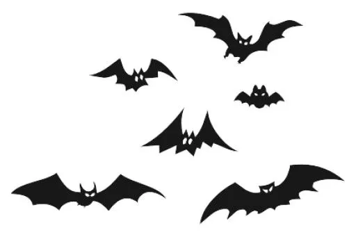 蝙蝠 PNG(442x295)