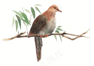 树枝上蹲着的小鸟素材
