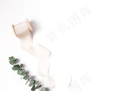 一束布带和植物