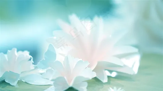 美丽的梦幻鲜花写真高清图片 美丽的梦幻鲜花写真高清图片