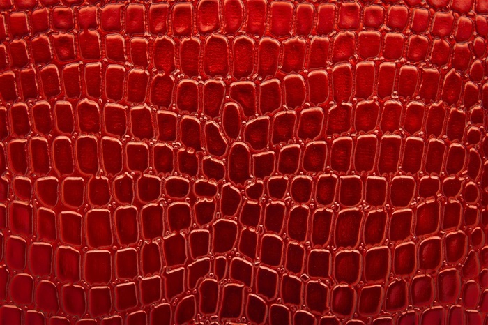 精美蛇皮纹理背景高清图片