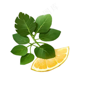 绿色手绘PNG手绘柠檬 番薯叶