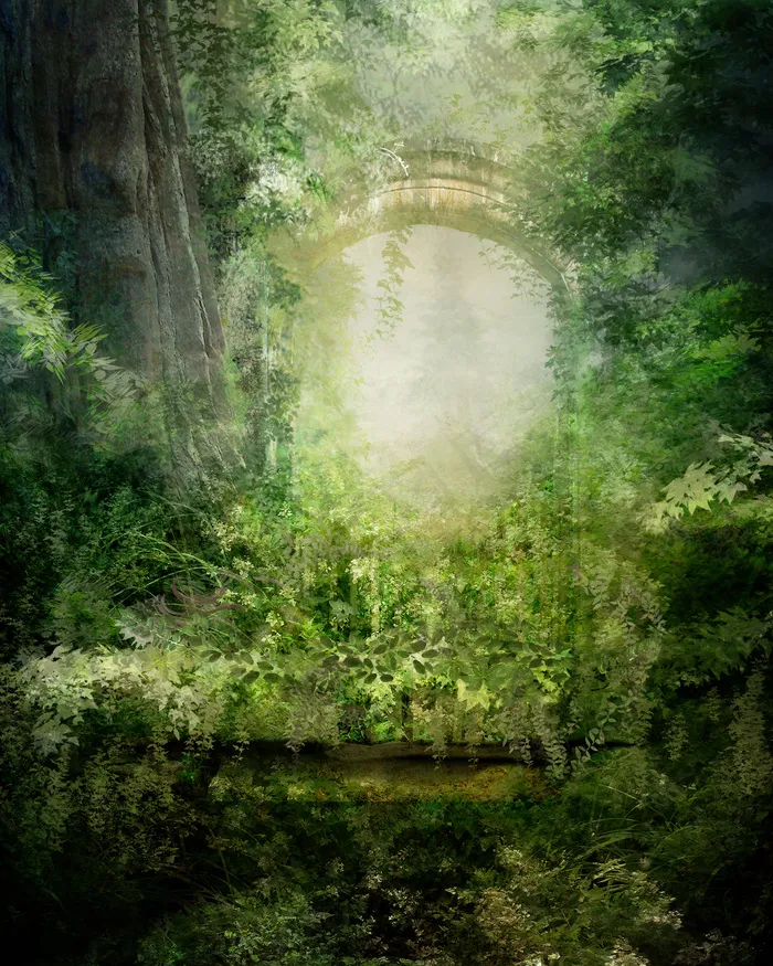 高清梦幻森林图片下载