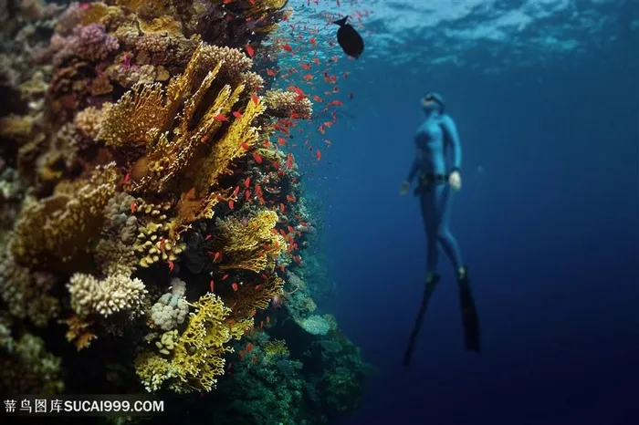 海底游泳的人物高清图片