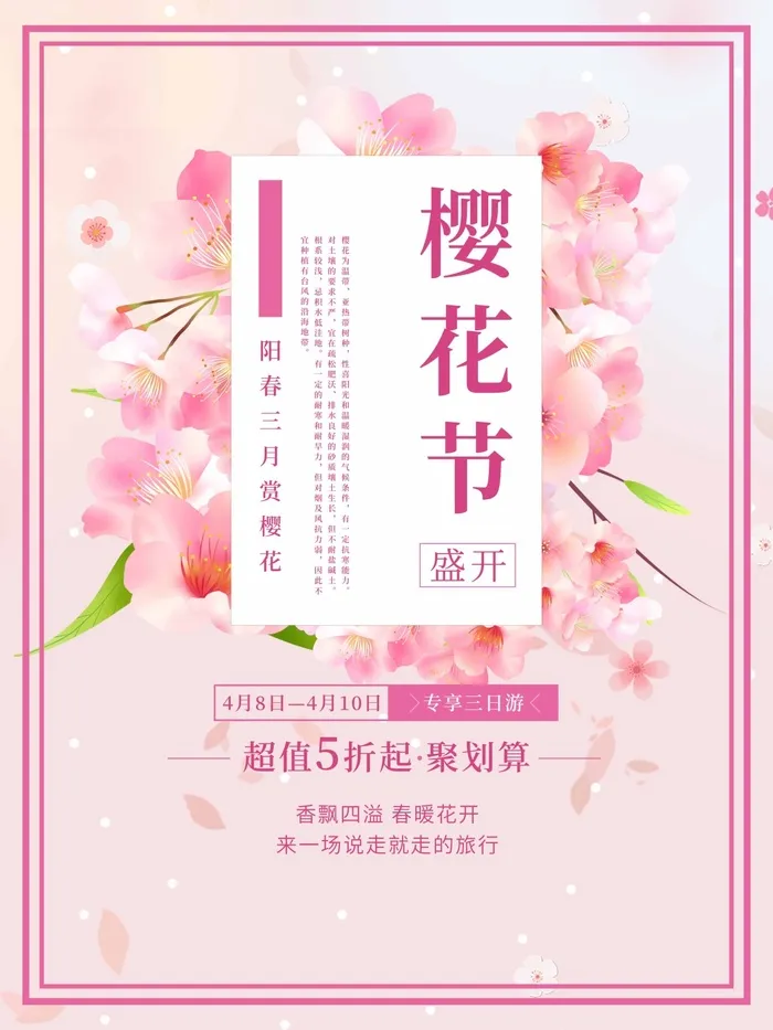 樱花节 樱花节海报模板psd模版下载