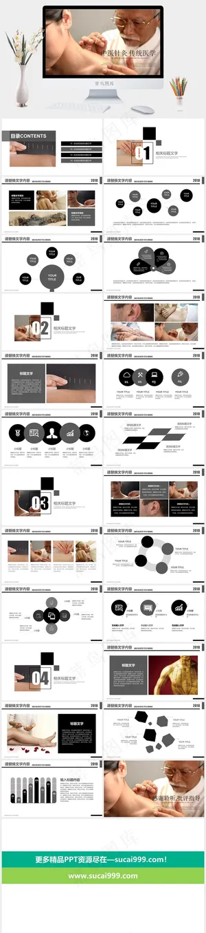 中药中医治病PPT模板ppt模版