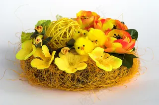 复活节小鸡图片下载