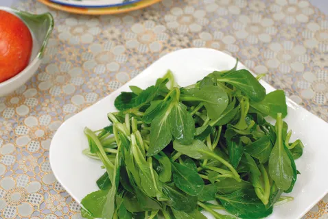 鸡毛菜    鸡毛菜