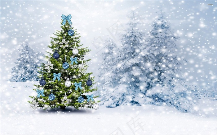 雪中树林里的圣诞树图片