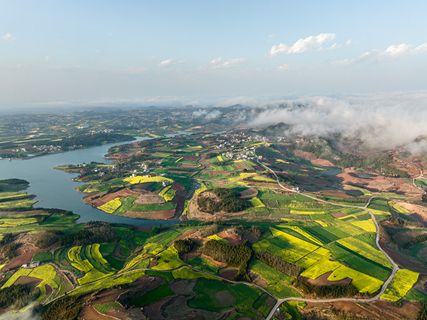 航拍罗平油菜花
