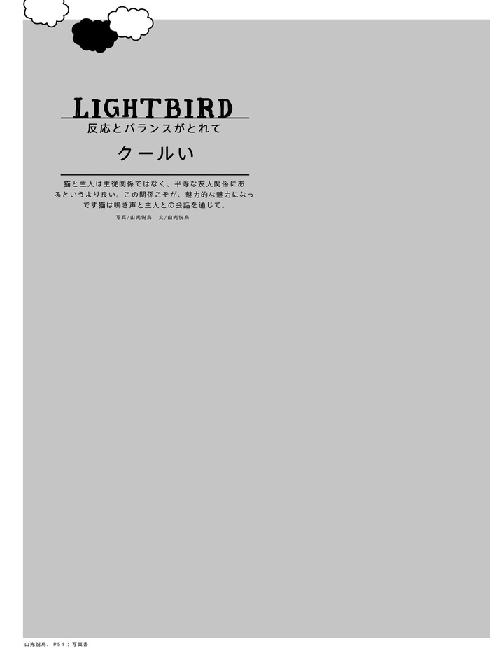 日系画册模板psd模版下载