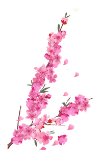 春天浪漫粉红色樱花手绘樱花梅花桃花花朵图片PNG免扣素材