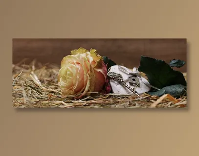 一支枯黄玫瑰花图片 一支枯黄玫瑰花图片
