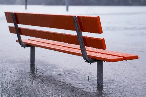 雨中的长椅图片 雨中的长椅图片
