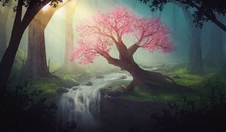 森林中开满粉色花朵的大树高清图片