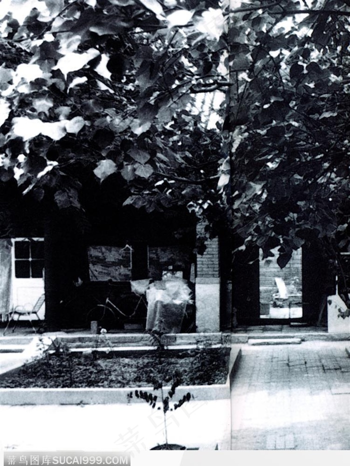 北京印象-绿树成荫的四合院