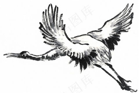 国画鸟设计jpg素材