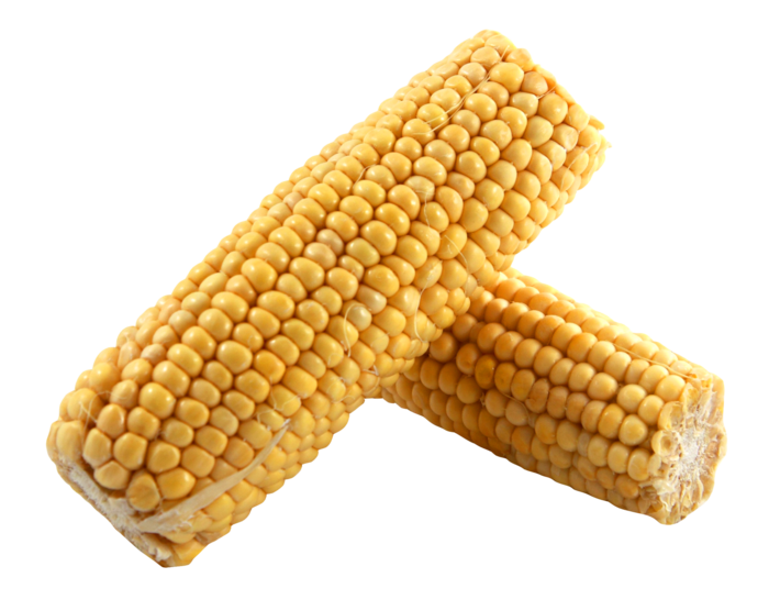 玉米玉米棒