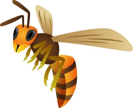 黄蜂 PNG免抠(630x512)