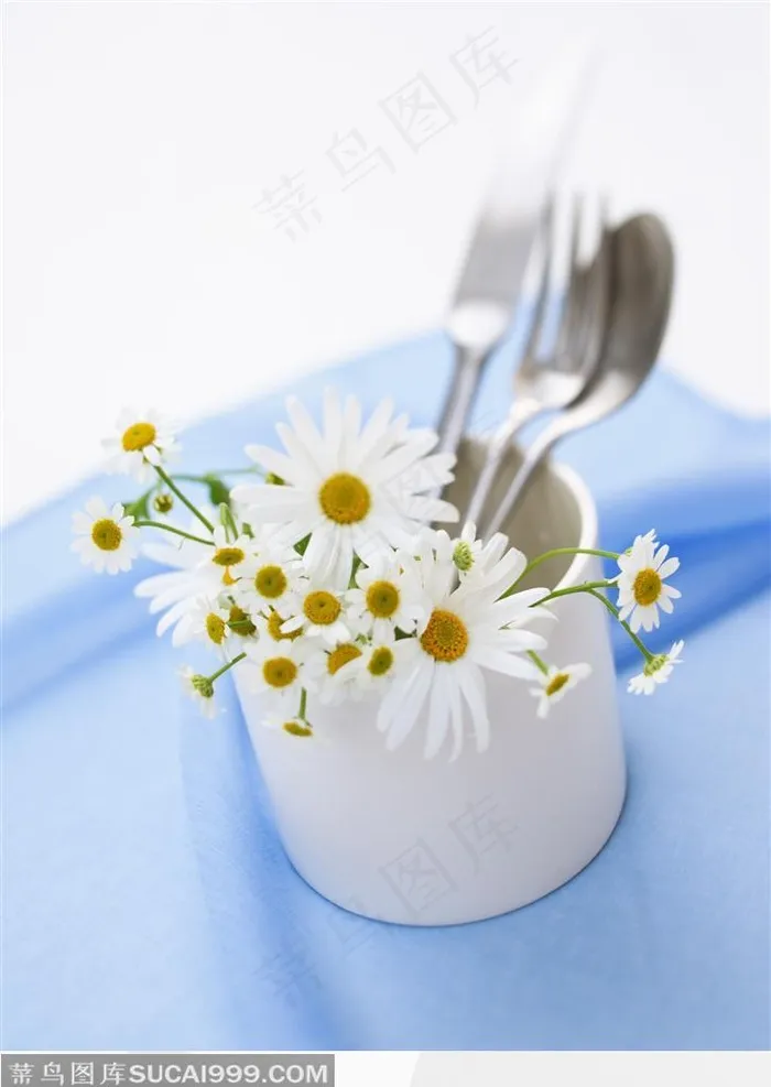 白色小菊花和用餐工具