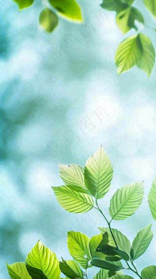 阳光明媚春天春意盎然嫩草，发芽，春分，立春摄影图