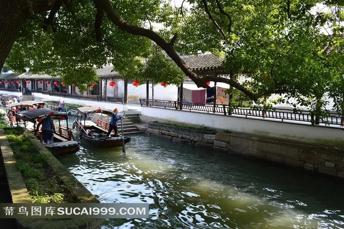 树木下的古镇河流