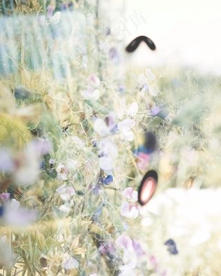 花草唯美小清新图片