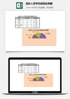 流失人员学历结构比例图excel模板