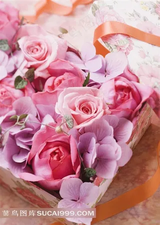 美丽玫瑰花图片