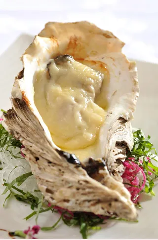 H00147加拿大生蚝