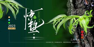 绿色高端二十四节气惊蛰展板