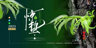 绿色高端二十四节气惊蛰展板