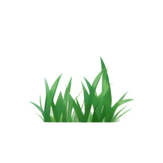 草丛叶子绿叶免抠