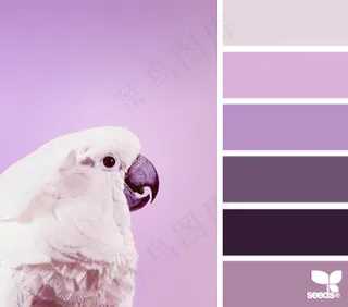 动物配色色卡色彩搭配