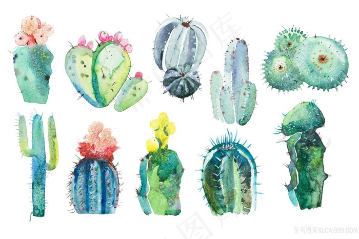 水彩手绘各种仙人掌