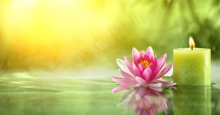 粉红色花瓣旁边上面的绿色蜡烛高清摄影
