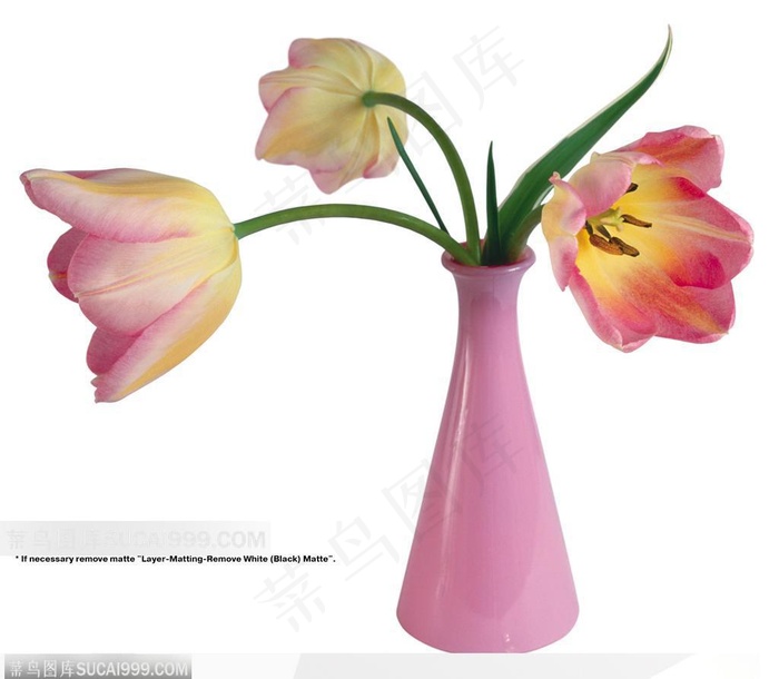 节日饰品-紫色花瓶中的郁金香