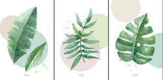 三联水彩绿色叶子装饰画