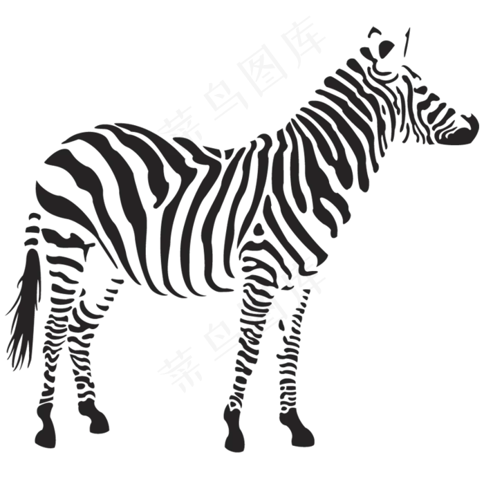 斑马黑白马