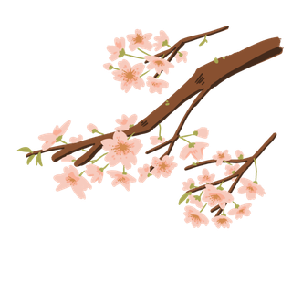 春天浪漫粉红色樱花手绘樱花梅花桃花花朵图片PNG免扣素材