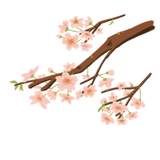 春天浪漫粉红色樱花手绘樱花梅花桃花花朵图片PNG免扣素材