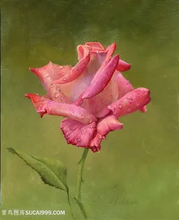 阿列克谢油画唯美花卉花束装饰画