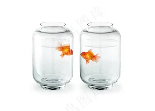 鱼缸的鱼高清图