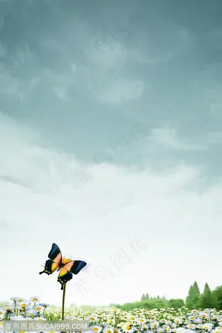 瑜伽广告 房地产广告元素花丛草地停在枝干上的蝴蝶